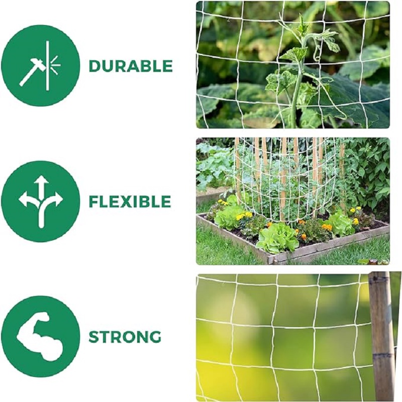 Gartenspaliernetz, weißes Abri – Outdoor Sports Net Bewertung und Preis